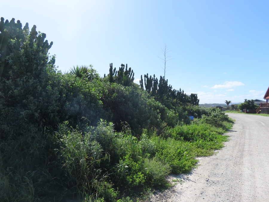 0 Bedroom Property for Sale in Forest Downs Eastern Cape
